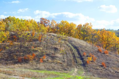 hill ile sonbahar sahne