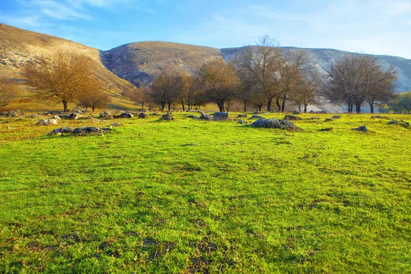 alan çim ve tepeler bahar sezonu