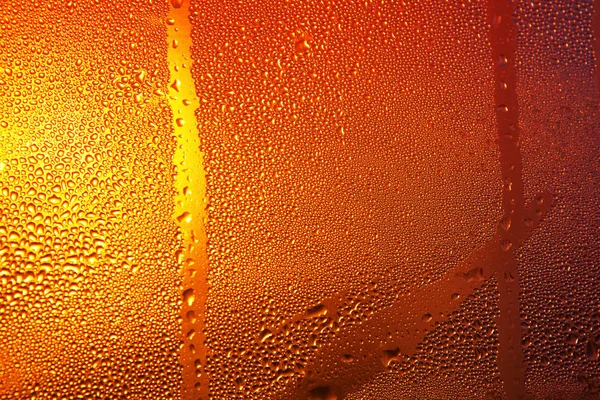 Condensation Sur Bouteille Bière — Photo