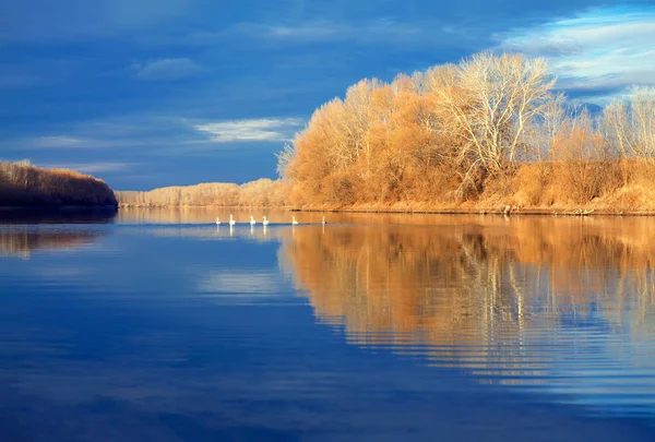 Idyllic Autumn River — Stock Photo, Image