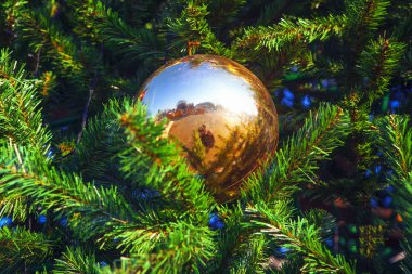 Köknar ağacı üzerinde asılı büyük Noel top