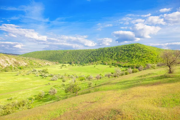Весенний Пейзаж Зелеными Холмами Полями — стоковое фото