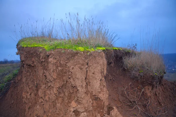 Herbe Poussant Sur Colline — Photo