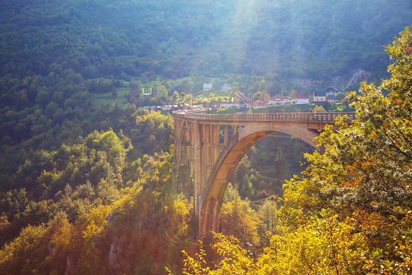 Tara River canyon Karadağ üzerinden Djurdjevic Köprüsü'nün görünüm