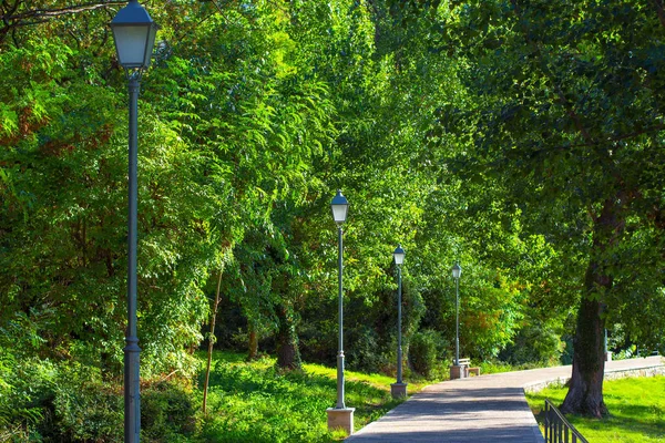 Caminho Parque Verde — Fotografia de Stock