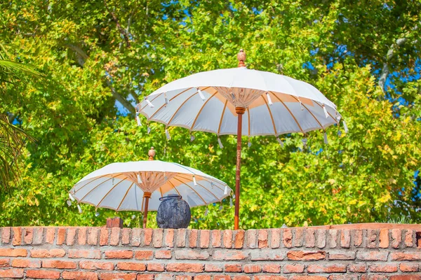 Beyaz Şemsiye Duvar — Stok fotoğraf