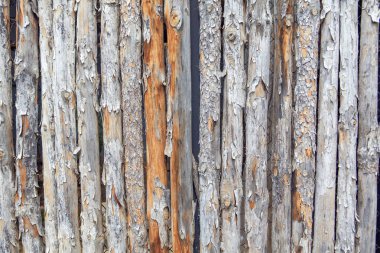 dikey kaba ahşap çubuklar arka plan 