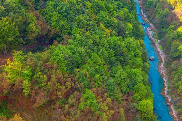 Veduta Aerea Del Fiume Tara Della Foresta Montenegro — Foto Stock