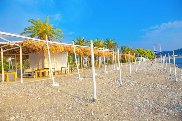 Palmeras Verdes Playa Exótica Vacía — Foto de Stock