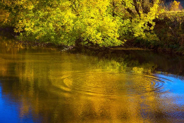 Wasseroberfläche Und Natur Herbst — Stockfoto