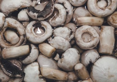 Su taze çiğ mantar 