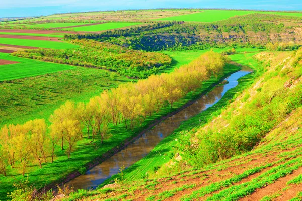 Wibrujący Wiosna Krajobraz Rzeką — Zdjęcie stockowe