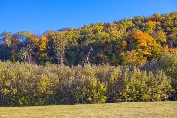 秋天五颜六色的树木国家公园 — 图库照片