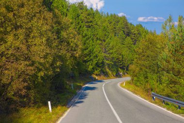 Ormanda dolambaçlı yol 