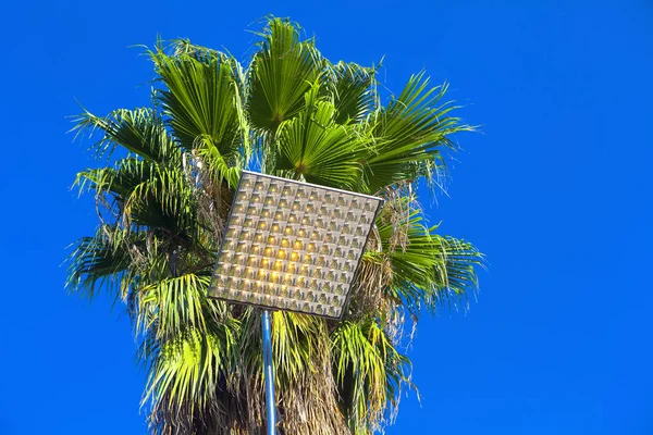 Ecologische Zonne Straat Lamp Groene Palm — Stockfoto