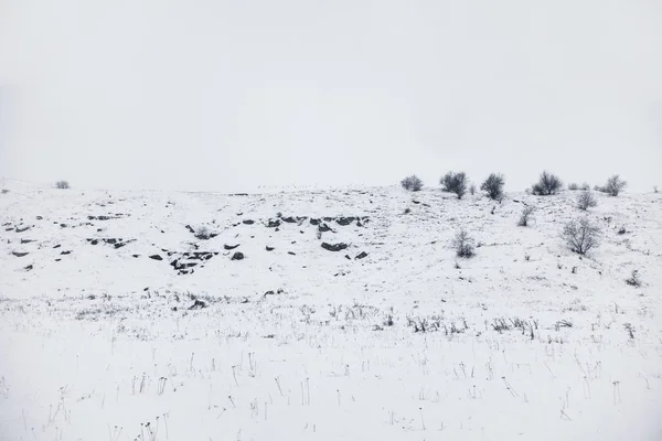 Gewoon Winter Landschap Met Besneeuwde Heuvel — Stockfoto
