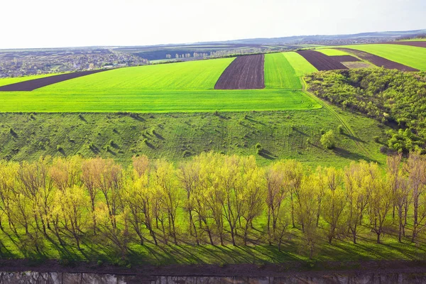Luftaufnahme Landwirtschaftlicher Felder Frühling — Stockfoto