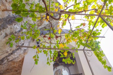 Manastır Ostrog ünlü bağ 