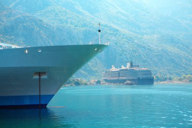 Cruise gömlekleri Port