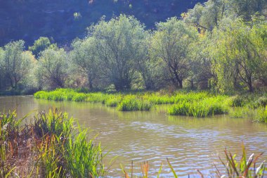 nehir ve yeşil doğa ile sahne