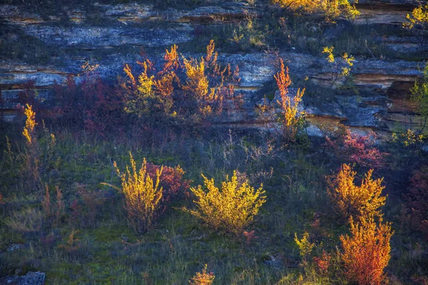 Colorido Paisaje Otoño Con Árboles Colina —  Fotos de Stock