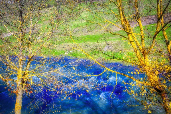 Spring Nature Branches River Background — Stock Photo, Image