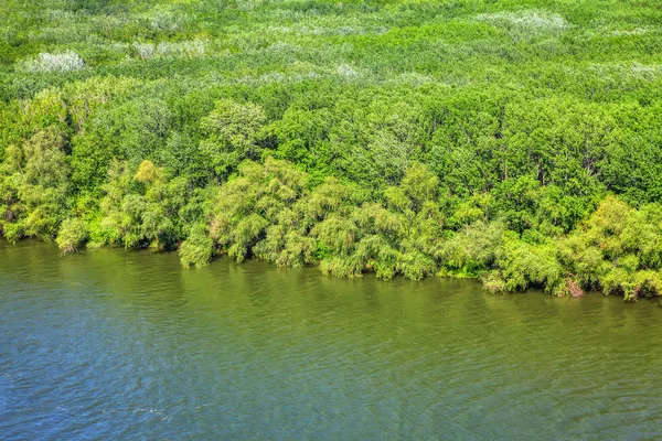 Vista Aérea Del Bosque Verde Río —  Fotos de Stock