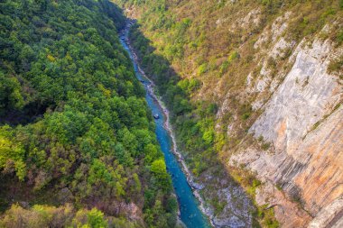 muhteşem doğa manzara, Karadağ'ın Tara Nehri'nin havadan görünümü 