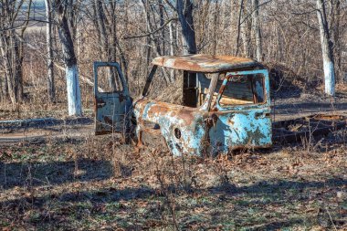 ormanda terkedilmiş eski paslı araba 