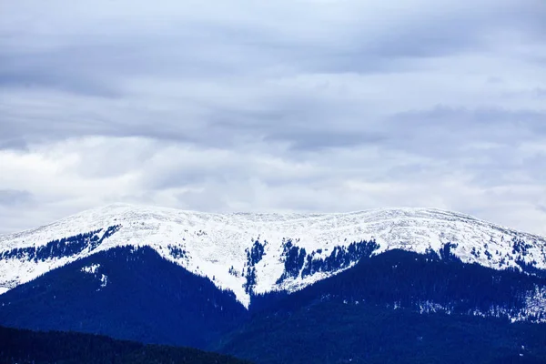 Dağ Ile Beyaz Karlı Tepe Toplayan — Stok fotoğraf