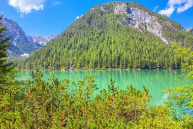 görkemli doğa dağ ve orman ile çevrili Gölü ile