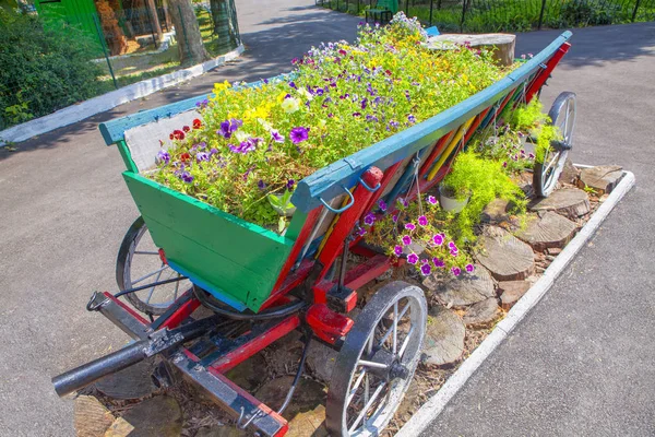 Vervoer Met Met Bloemen Straat — Stockfoto