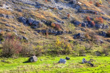 yeşil tepe üzerinde taşlarla sahne
