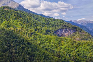 güzel dağ tarafından yeşil orman kaplı 