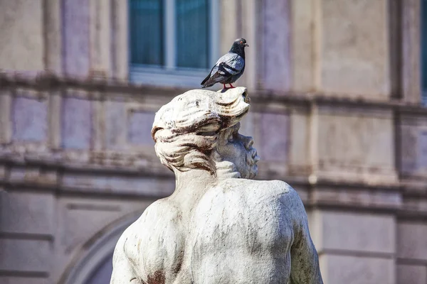 ancient statue with pigeon on the head