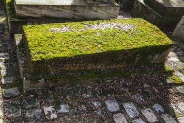 Antik mezar yosun kaplı