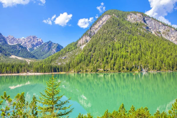 Naturaleza Fantástica Montañas Bosque Coníferas Lago — Foto de Stock