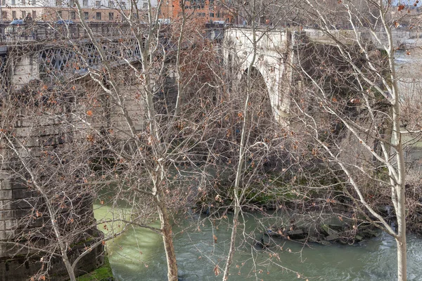 Gałęzie Drzew Wody Rzeki Mieście — Zdjęcie stockowe