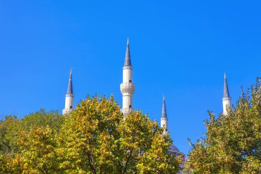  Tiran, Arnavutluk Ulu Cami Üstten Görünüm 