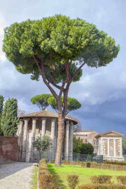 Roma 'da sütunlu antik binalar