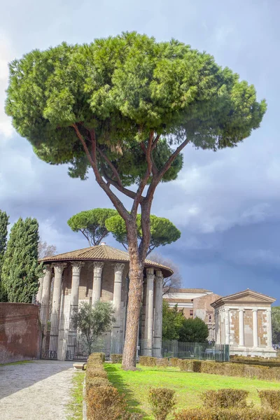 Roma Sütunlu Antik Binalar — Stok fotoğraf