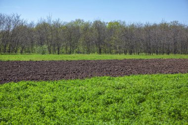 sürülmüş arazi ve yeşil alan