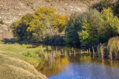 Sonbaharın başlarında orman ve nehir