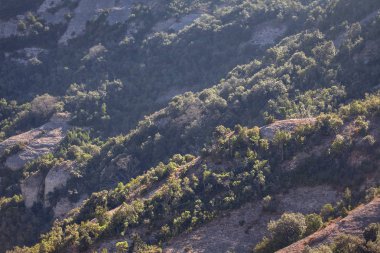 orman arka plan lı dağ sırası