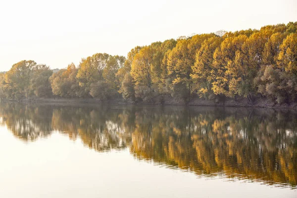 Осенний Пейзаж Деревьями Растущими Вдоль Реки — стоковое фото