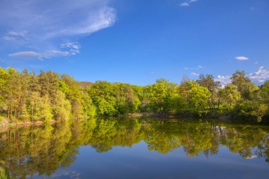 ağaçlar ve göl ile pastoral doğa 