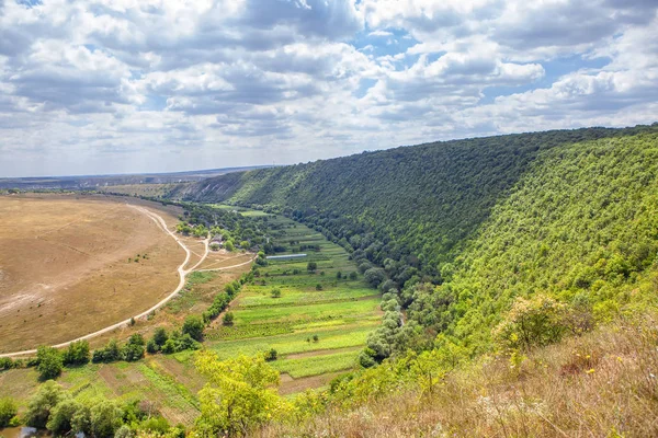 Frühlingslandschaft Mit Grünen Hügeln — Stockfoto