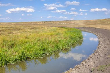 yaz doğa sahne , küçük nehir akan 