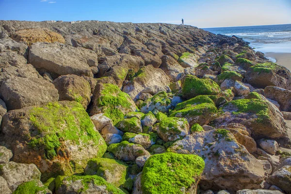 Pedras Costeiras Cobertas Por Musgo — Fotografia de Stock
