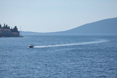 mavi denizde hız motorlu tekne